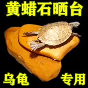 乌龟黄色蜡腊石头晒台天然爬宠坡晒背发色垫步鱼龟缸造景平板方砖