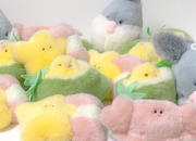 日本本土潮玩毛绒，玩偶可爱小动物粉色兔子小熊，玩具饺子公仔
