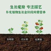 生长魔励浓缩型营养液花卉盆栽植物通用观叶水培绿萝液体养花肥