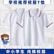 中小学生校服内搭白色t恤短袖，夏季男生polo衫班服打底衫女生上衣