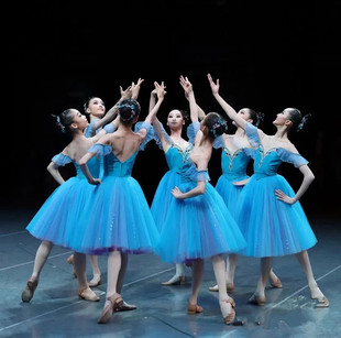 芭蕾舞裙演出儿童，比赛专业表演服天蓝色长裙，篷篷裙成人芭蕾演出服