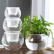 水培植物玻璃瓶透明花瓶，水养绿萝花盆器皿圆球鱼缸，容器摆件大瓶子