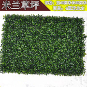 仿真草坪加密米兰草坪花塑料假草坪人造草皮背景植物墙挂绿化装饰