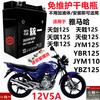 雅马哈125天天戟YBR/JYM125摩托车统一免维护蓄电池12V5A干电瓶