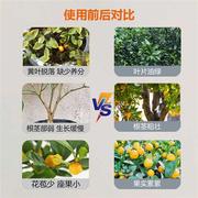 橘子树专用肥料金桔子树柑橘复合肥，柠檬果树高钾肥(高钾肥)控释缓释肥中农