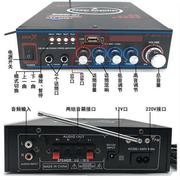 other/其他 603957124556蓝牙功放大功率迷你小功放机家用220V12