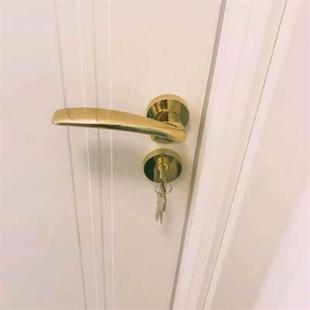 TATA尼克木门锁具PVD金色静音E磁吸门锁黑色美式卧室内房门锁