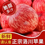 正宗陕西洛川苹果水果新鲜当季整箱，一级红富士冰糖心脆甜