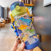 日本儿童恐龙水杯幼儿园宝宝，冷水壶直饮吸管，保温杯子学生背带上学