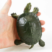 儿童仿真玩具乌龟巴西龟海龟塑胶两栖爬行海洋动物摆件认知模型