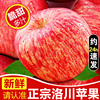 正宗陕西洛川红富士苹果水果新鲜甜(新鲜甜)脆当季10斤整箱冰糖心丑苹果