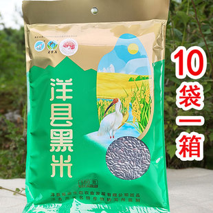 陕西汉中特产阳洋县黑米，五谷杂粮新米寿带鸟，正宗五彩非糯米10斤