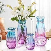 北欧创意玻璃花瓶彩色大号水培，富贵竹百合花玫瑰客厅装饰插花摆件