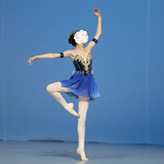 丹律诗量身宝蓝色渐变色魔符女芭蕾舞裙比赛演出短裙定制考级