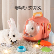 兔年吉祥物儿童小兔子宠物毛绒玩具女孩玩偶白兔公仔生日宝宝礼物