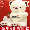 大熊毛绒玩具公仔布洋娃娃抱抱熊，泰迪熊猫大号新年玩偶女生日礼物