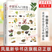 中国茶入门图鉴从喝茶到懂茶的中国茶文化手册图解版，实用茶学茶艺百科，全图鉴张中华(张中华)江苏凤凰科学技术出版社