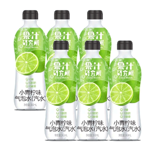 果汁研究所气泡水360ml*6瓶小青柠味 T