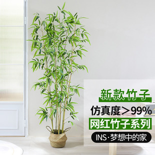 室内装饰仿真竹子隔断屏风挡墙，假竹子造景，室外装饰竹盆栽加密绿植