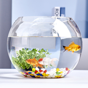 办公室小鱼缸客厅家用桌面圆形迷你小型金鱼缸加厚透明玻璃乌龟缸
