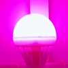 粉色光led灯泡补光塑料球泡灯E27螺口足浴照明卧室情趣氛围调情灯