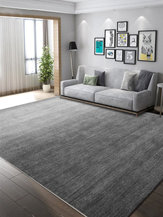 轻奢高级灰色圈绒地毯客厅现代简约沙发茶几垫卧室地毯家用大面积