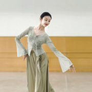 古典舞印花长袖上衣，中国舞舞蹈服现代舞练功服形体，服套装艺考演出