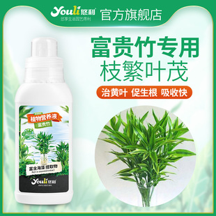 富贵竹专用营养液水培植物生根的节节高水养水竹肥料观音竹肥料