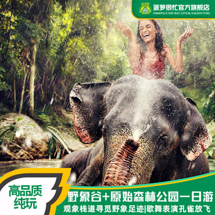 云南旅游西双版纳野象谷+原始森林公园一日跟团游