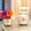 欧式电镀银色系玻璃花瓶花器 彩色玻璃花瓶圆球玻璃花瓶 水培花瓶