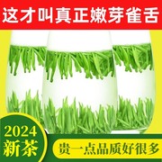 雀舌绿茶2024年新茶叶明前特级嫩芽毛尖春茶浓香型