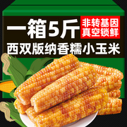 云南西双版纳花糯玉米即食真空5斤粗粮代餐锁鲜香甜拇指糯小玉米