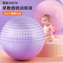 瑜伽球感统训练早教平衡宝宝大龙球