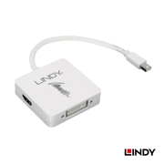 德国LINDY 主动式Mini DP 1.2转HDMI/DVI-D/DP 三合一转换器