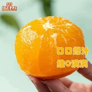 正宗红美人爱媛28号柑橘新鲜水果桔子蜜桔果 橙整箱应季