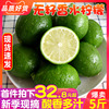 福建漳州无籽香水柠檬5斤水果，新鲜青柠檬，商用绿青柠酸香鲜柠檬果