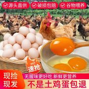 正宗土鸡蛋新鲜柴鸡蛋农家散养树林草鸡蛋现捡现发红心土鸡蛋