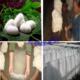 丝梦缘 纯手工定做任意规格桑蚕丝被定单通道