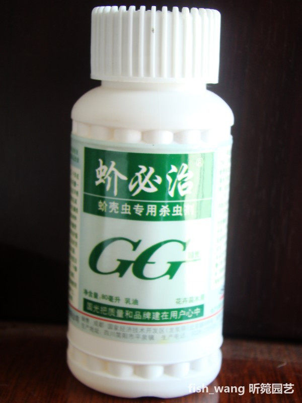 国光-农药蚧必治 蚧壳虫专用杀虫剂 苗木杀虫剂 强效杀虫剂 2规格