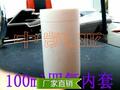 100ml水热合成反应釜/四氟内套/消解罐/内衬