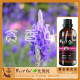BESTOIL比奥纯水溶性植物精华薰衣草花水纯露