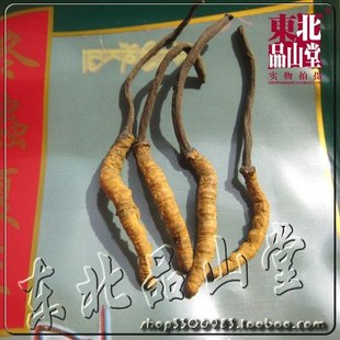  秒杀特卖优质自用断草藏虫草冬虫夏草特干12元一克断草