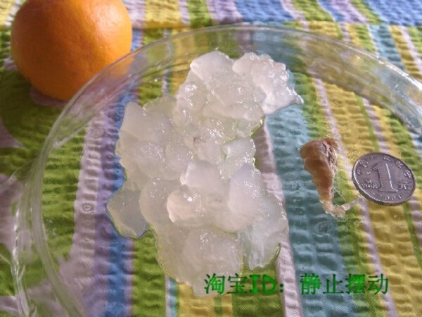 冲皇冠 难得一见极品(林蛙