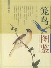 全新正版☆笼鸟图鉴