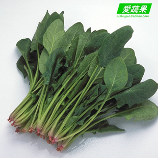  【爱蔬果】绿色食品新鲜蔬菜 菠菜 北京配送