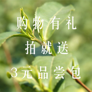  笑书神茶叶 新茶绿茶 龙井茶 大佛龙井茶 胜西湖龙井茶农直销