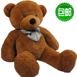 BOYDS (����)1.2������ůů�ܴ���̩���� �������� �������