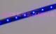 蓝色90cm贴片LED软条灯装饰灯