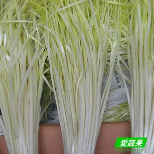  【爱蔬果】绿色食品新鲜蔬菜 韭黄 韭芽  韭菜白 北京配送