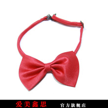 ������˼ �ؼ� ����Ա�컨 �ں�2ɫ �����컨 �����컨 ְҵ���